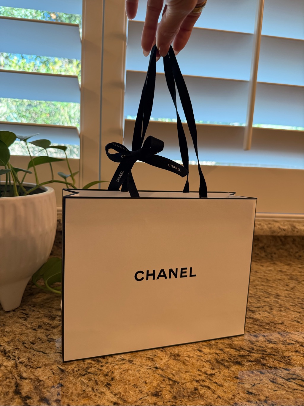 Chanel Boutique Shopping Gift Bag